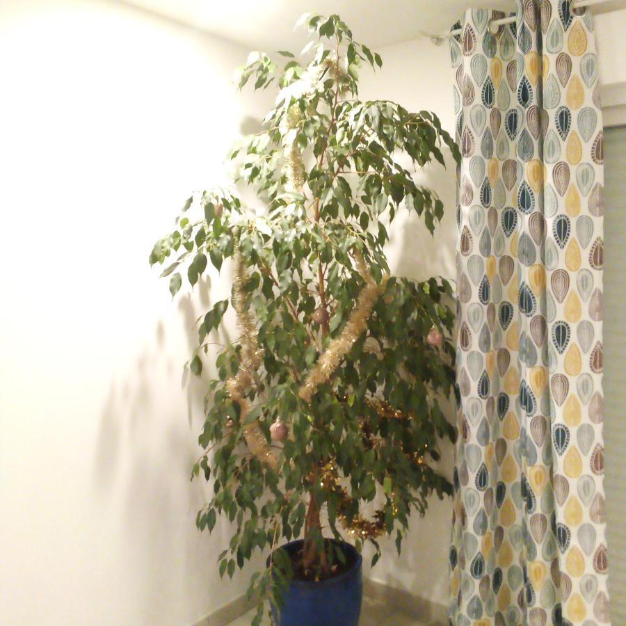 Vakantiehuis Au Galet Bleu Dieppe